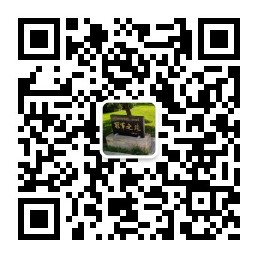 必威西汉姆联入口官网