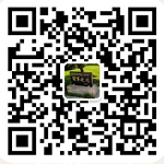 必威西汉姆联入口官网